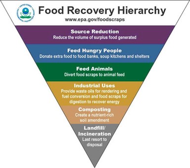 Food Recovery Hierachy